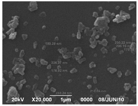 Nanoscale albendazole micropowder and preparation method thereof