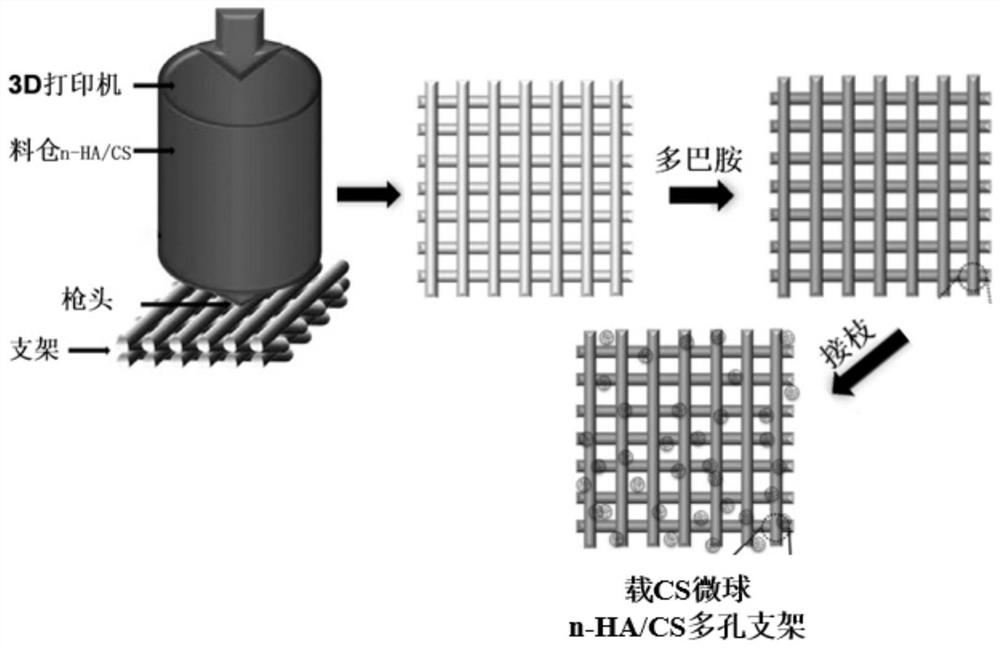 A kind of n-ha/cs porous scaffold for bone repair and its preparation method and application