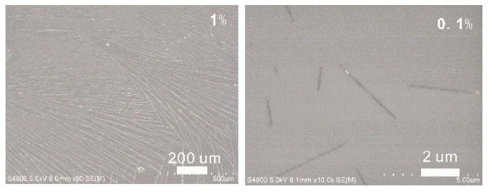 Preparation and application of perovskite nanowires, photoelectric detector and solar cell