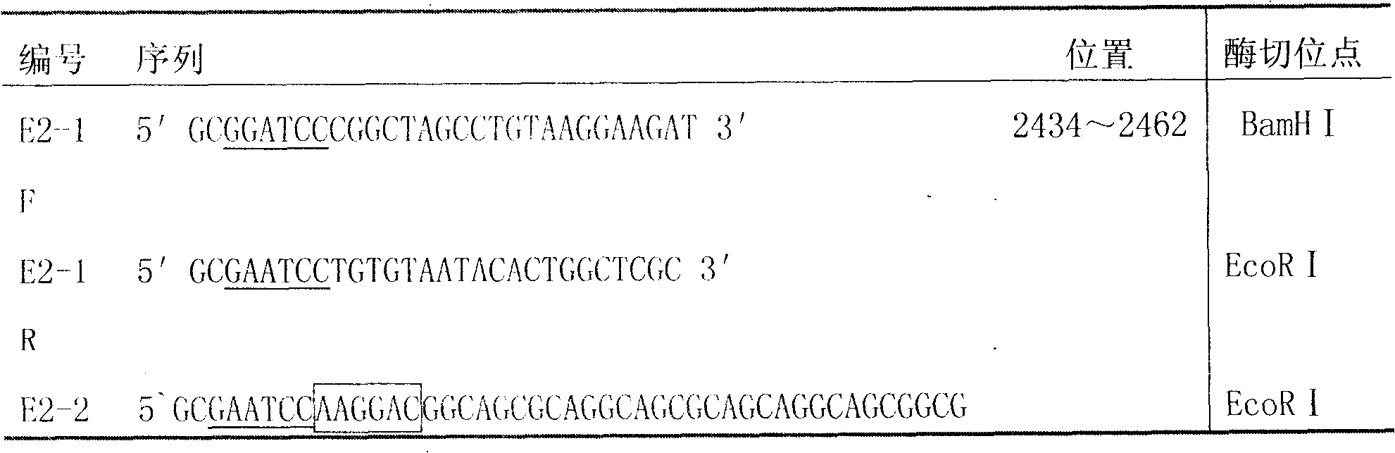 Method for preparing swine fever recombinant subunit vaccine