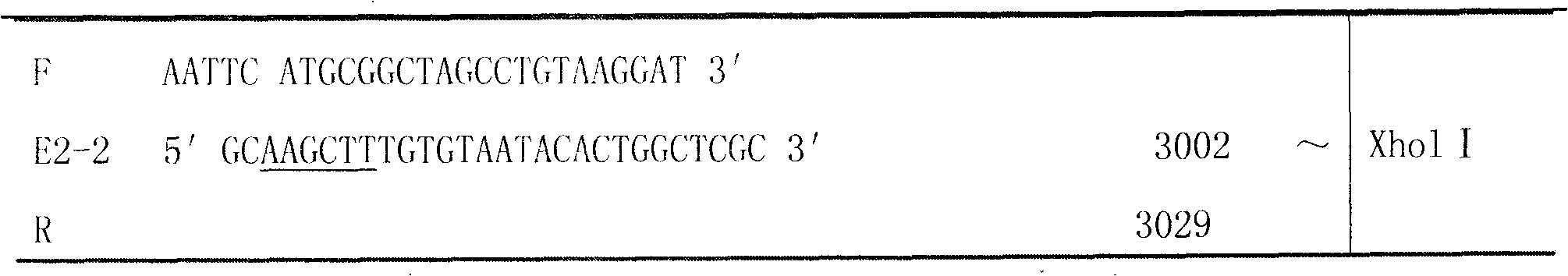 Method for preparing swine fever recombinant subunit vaccine