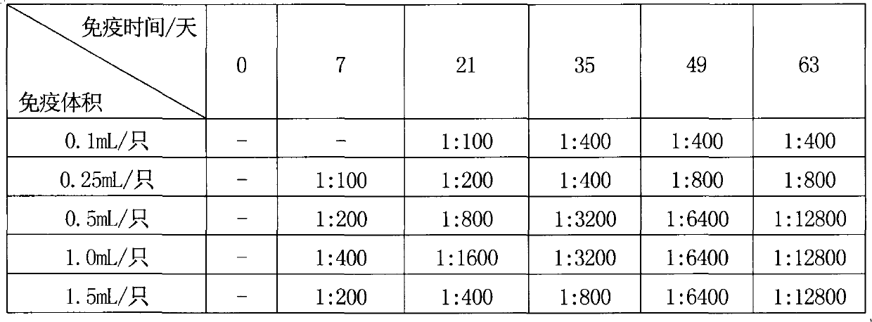 Preparation method for rat-derived polyclonal antibody of thermoduric bacteria