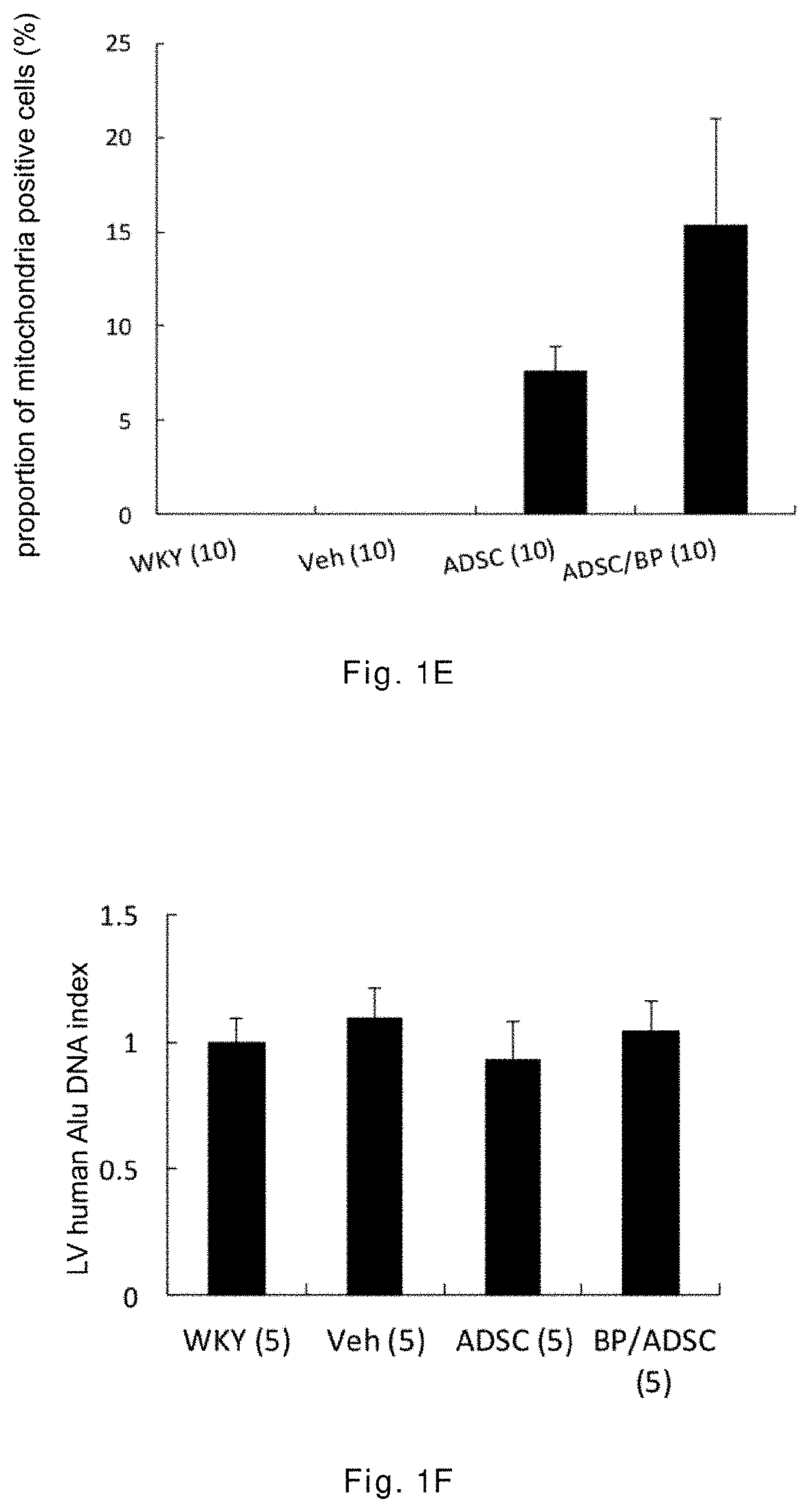 Pharmaceutical composition for treating cardiac hypertrophy