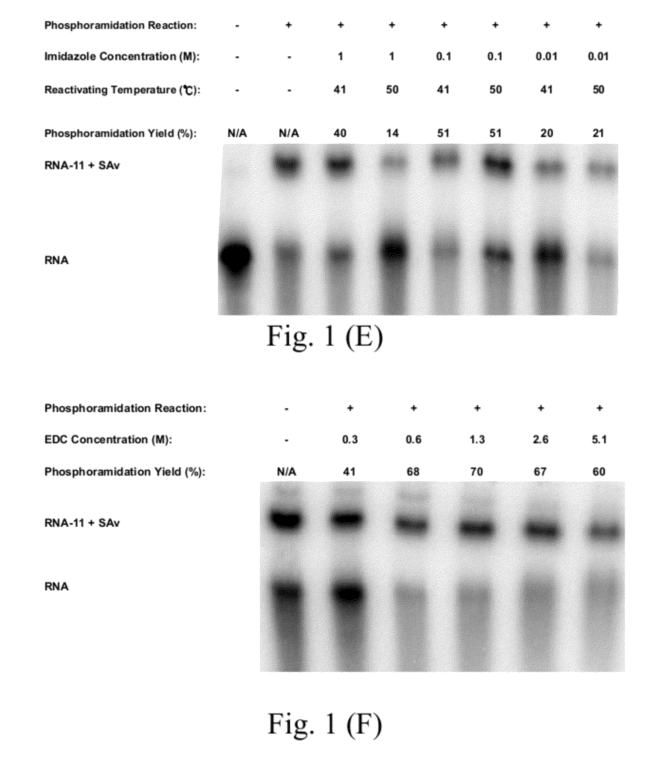 Methods for conjugating nucleic acids with small molecules