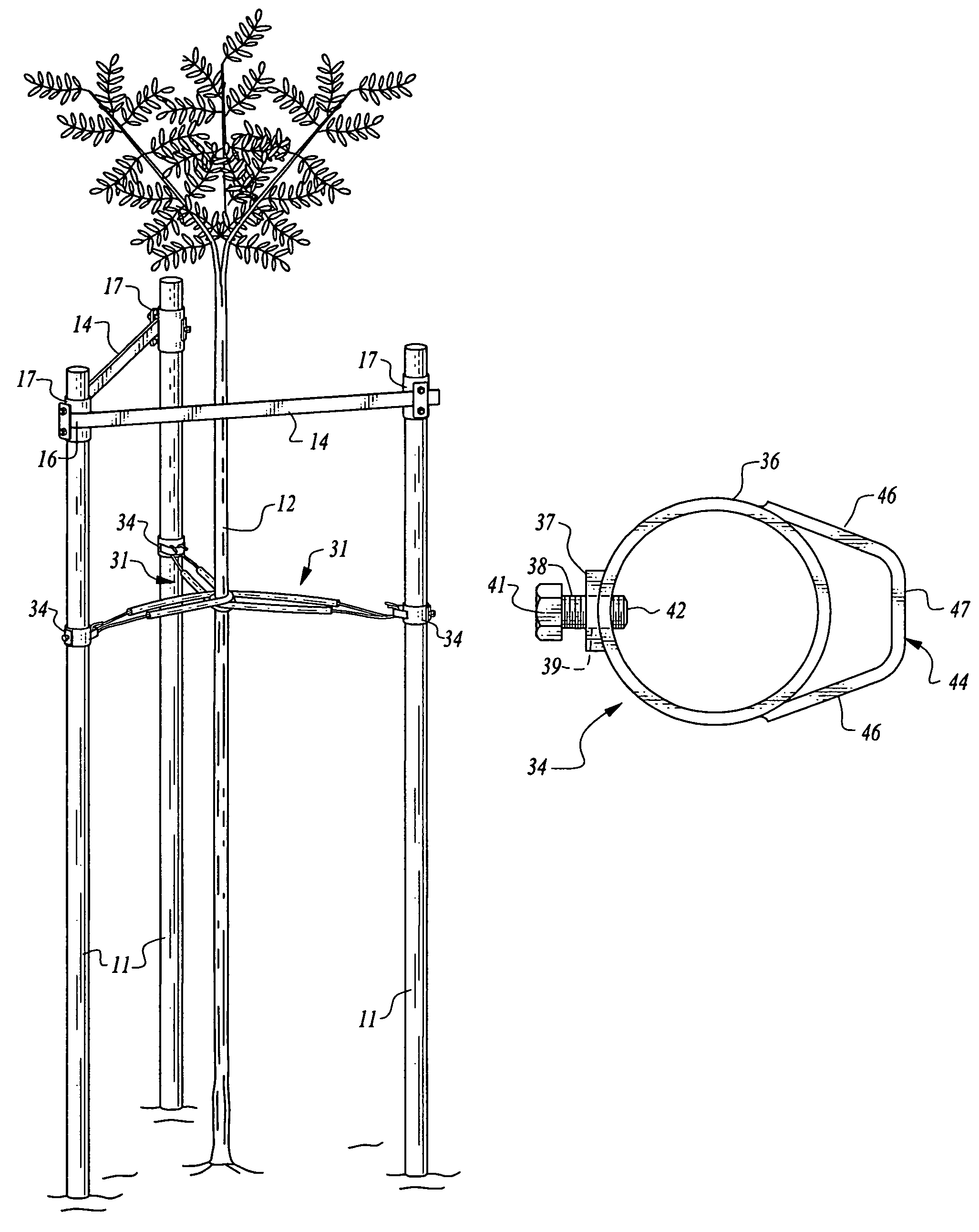 Apparatus for staking trees