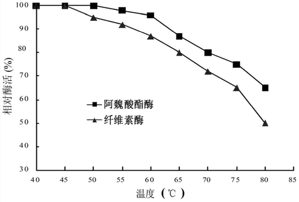 Method for preparing complex enzyme preparation of heat-resistant ferulic acid esterase and cellulose by fermenting trichoderma atroviride through airlift fermentation tank