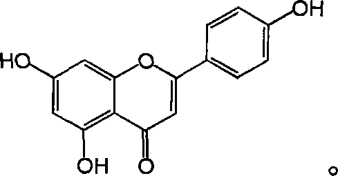 Scutellaria barbata total flavone and its application in preparing influenza virus resisting medicine