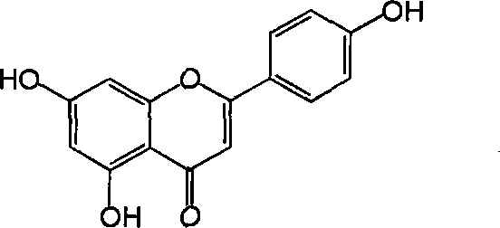 Scutellaria barbata total flavone and its application in preparing influenza virus resisting medicine