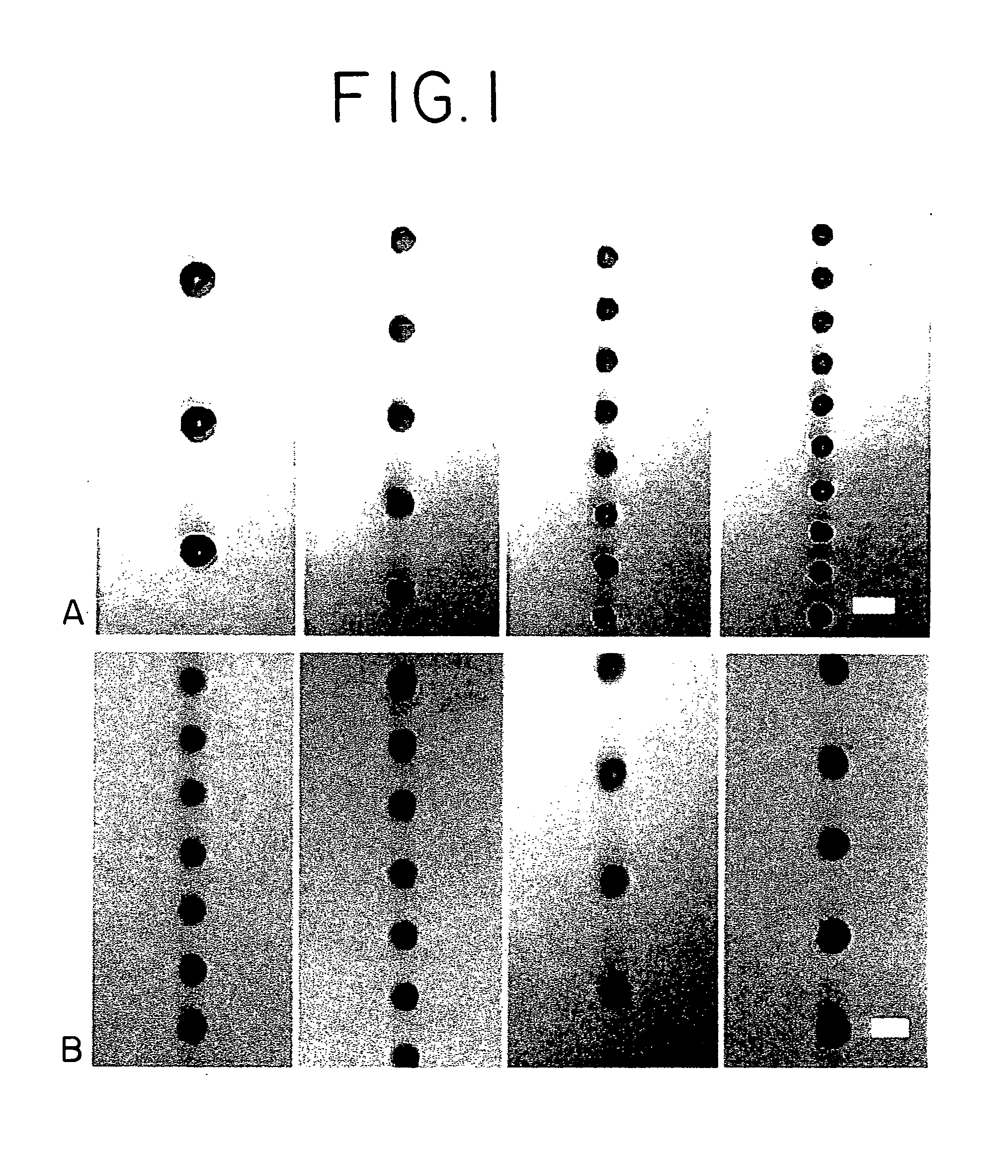 Microparticles