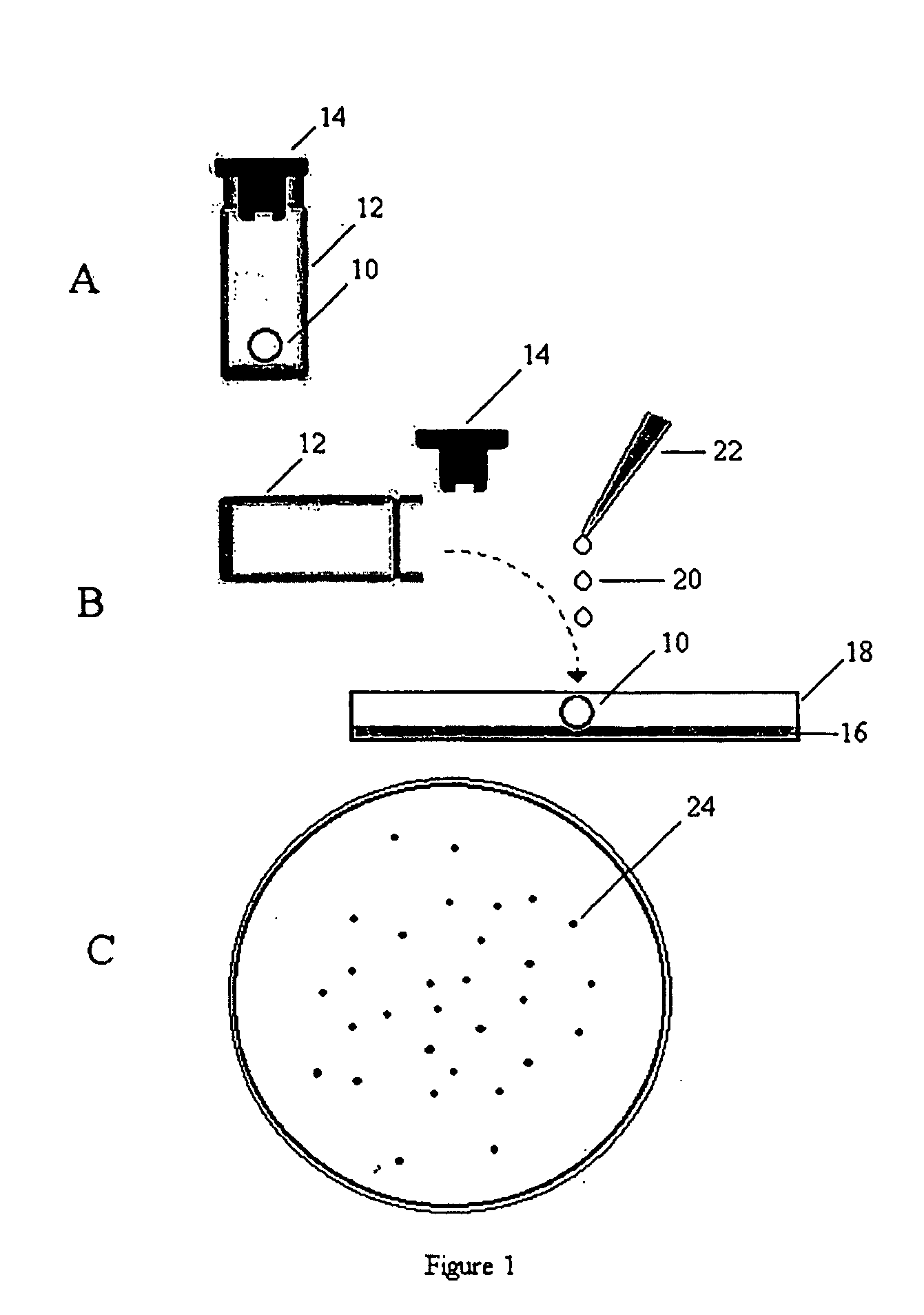 Products containing quantum of bioparticles and method for production thereof