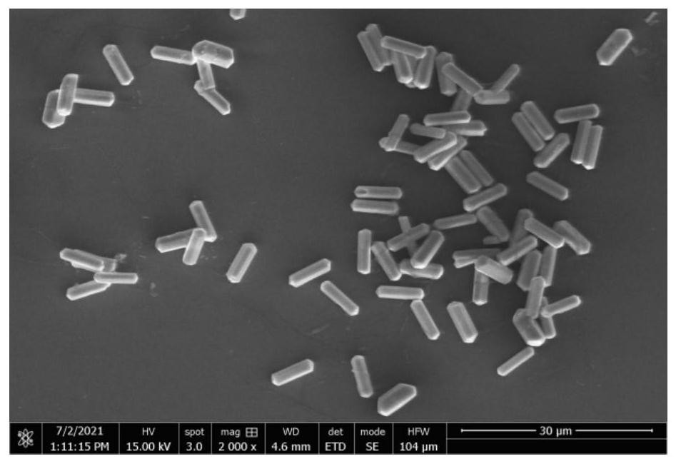 Method for rapid in-situ preparation of rare earth fluoride-rare earth oxide heterojunction micro-nano material