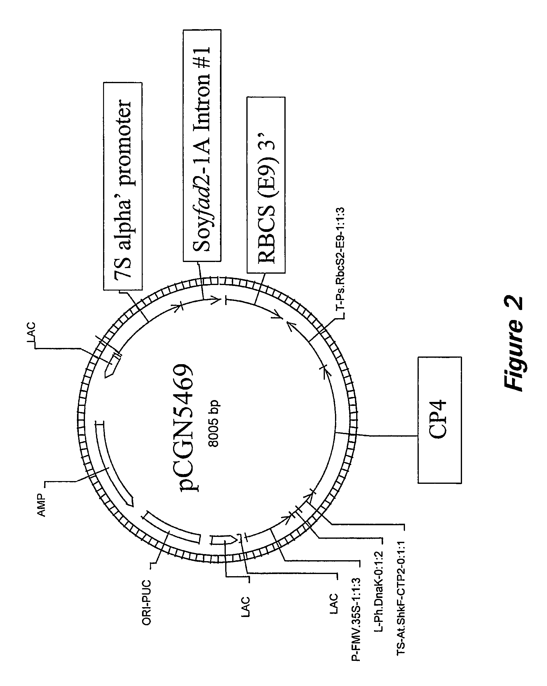Nucleic acid sequences and methods of use for the production of plants with modified polyunsaturated fatty acids