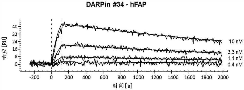 Recombinant FAP binding proteins and uses thereof