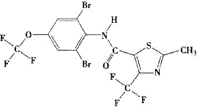 Bactericidal composition containing thifluzamide and fluoxastrobin