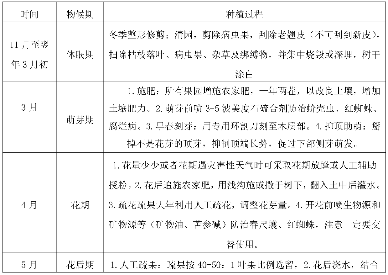 Physiological regulator and treatment technology for preventing sugar hearts of apples from digestion