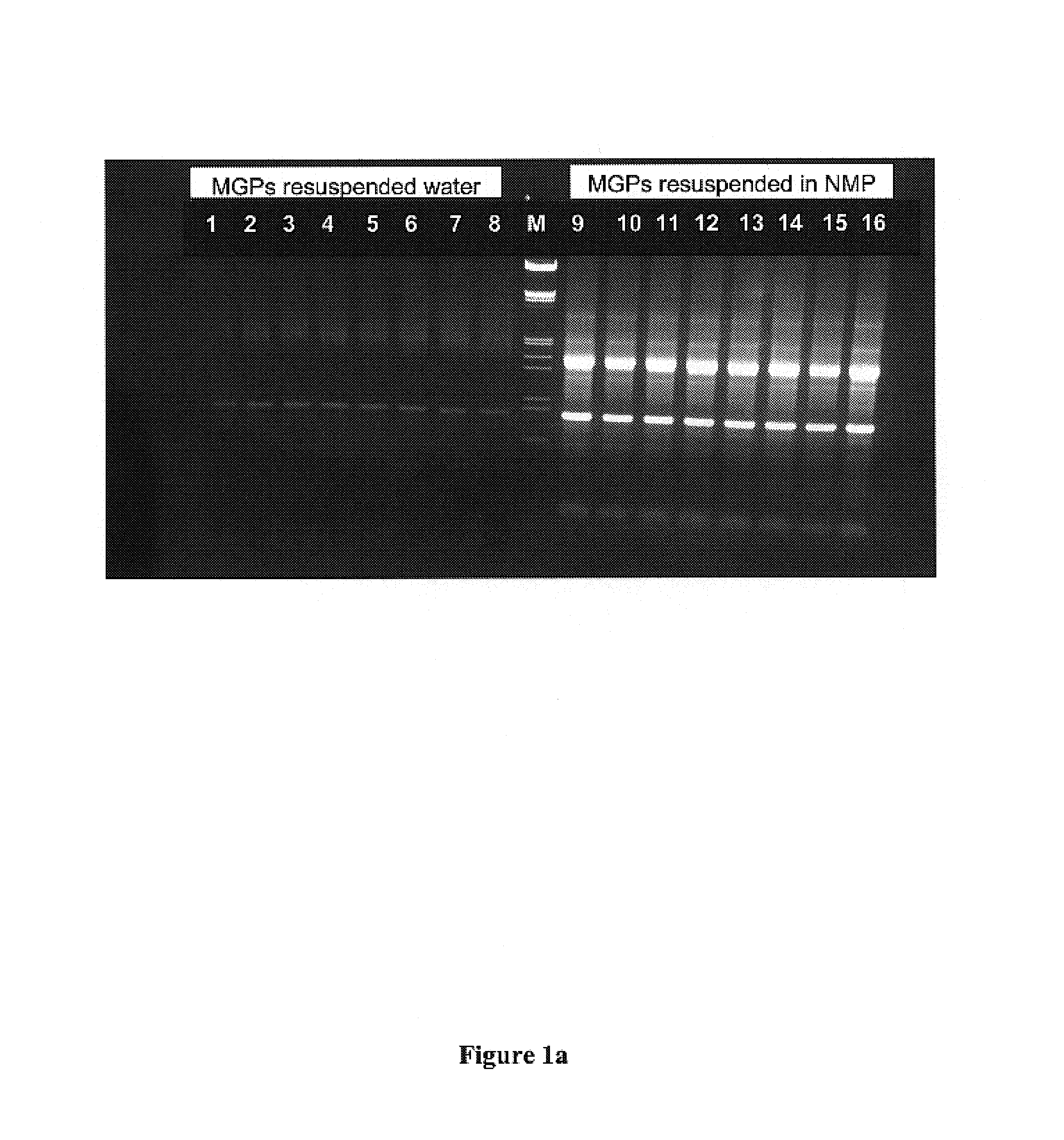 Methods for isolating nucleic acids