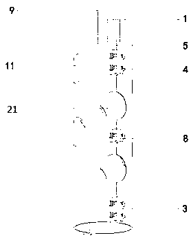 Raw bamboo frame steel pipe joint construction method adapting to raw bamboo diameter changes