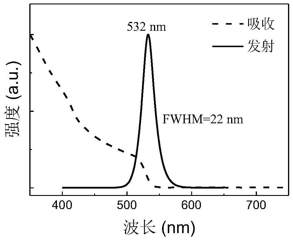 Surface defect passivated metal halide perovskite nanocrystals, their preparation and applications