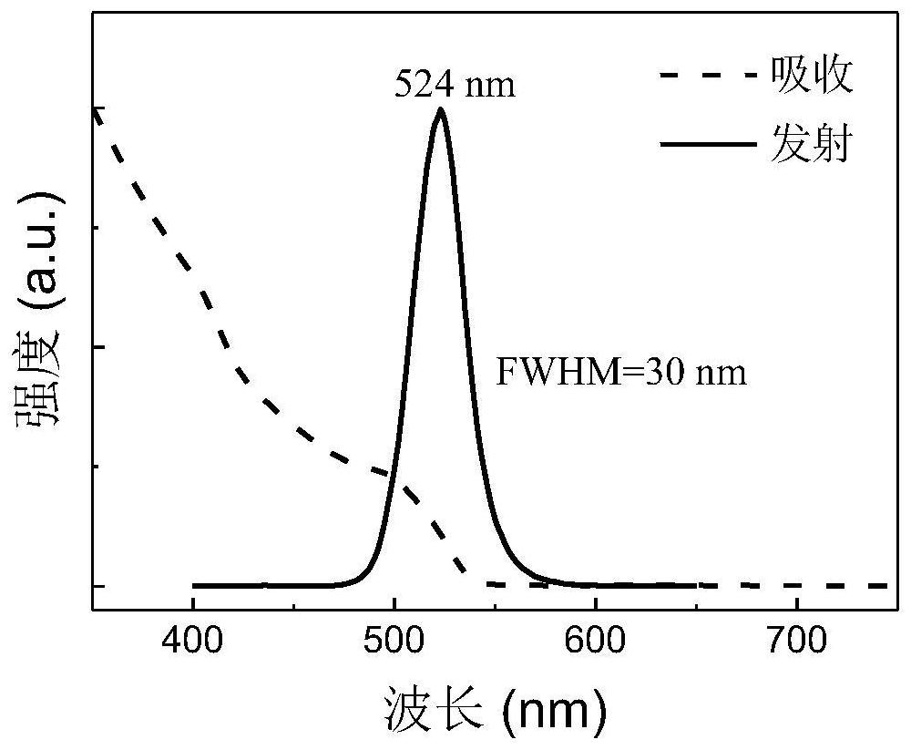 Surface defect passivated metal halide perovskite nanocrystals, their preparation and applications