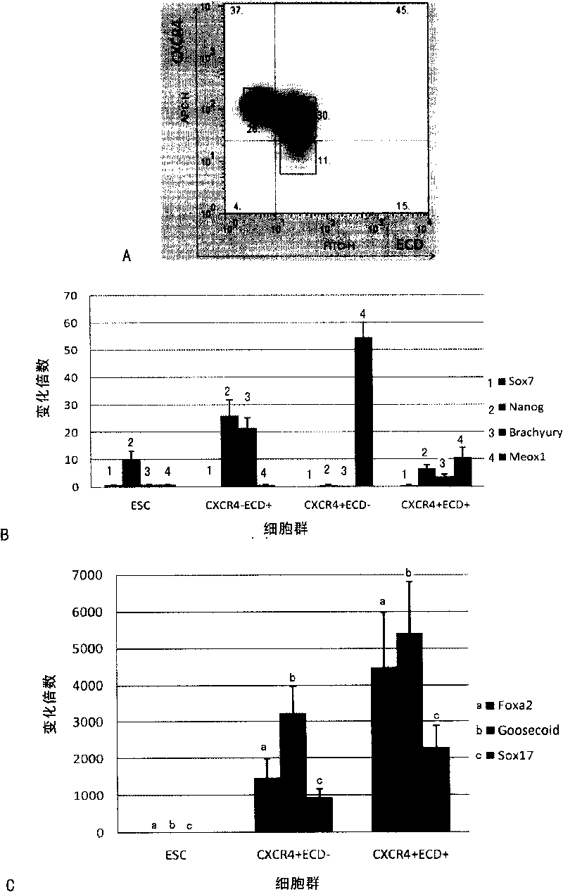 Method for preparing and separating stereotyped endoderm cells by using monolayer culture technology