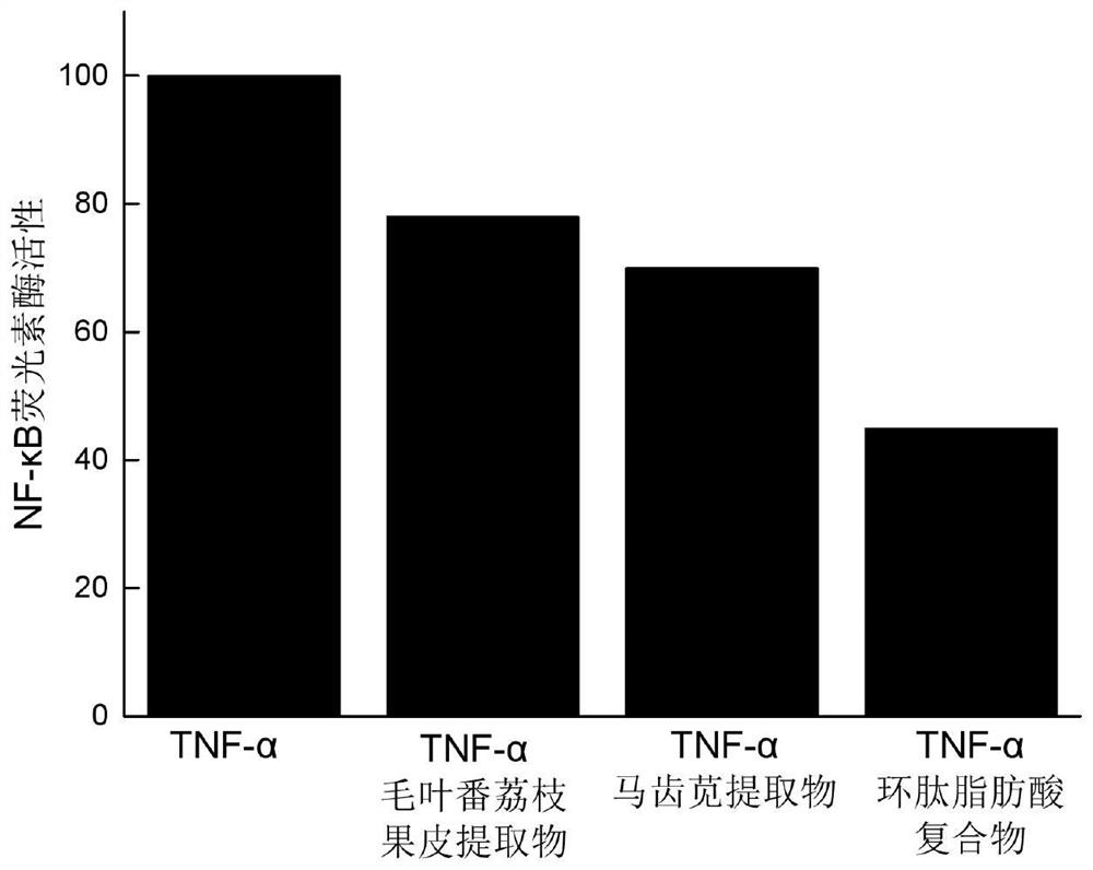 Annona cherimolia and purslane herb compound as well as preparation method and application thereof