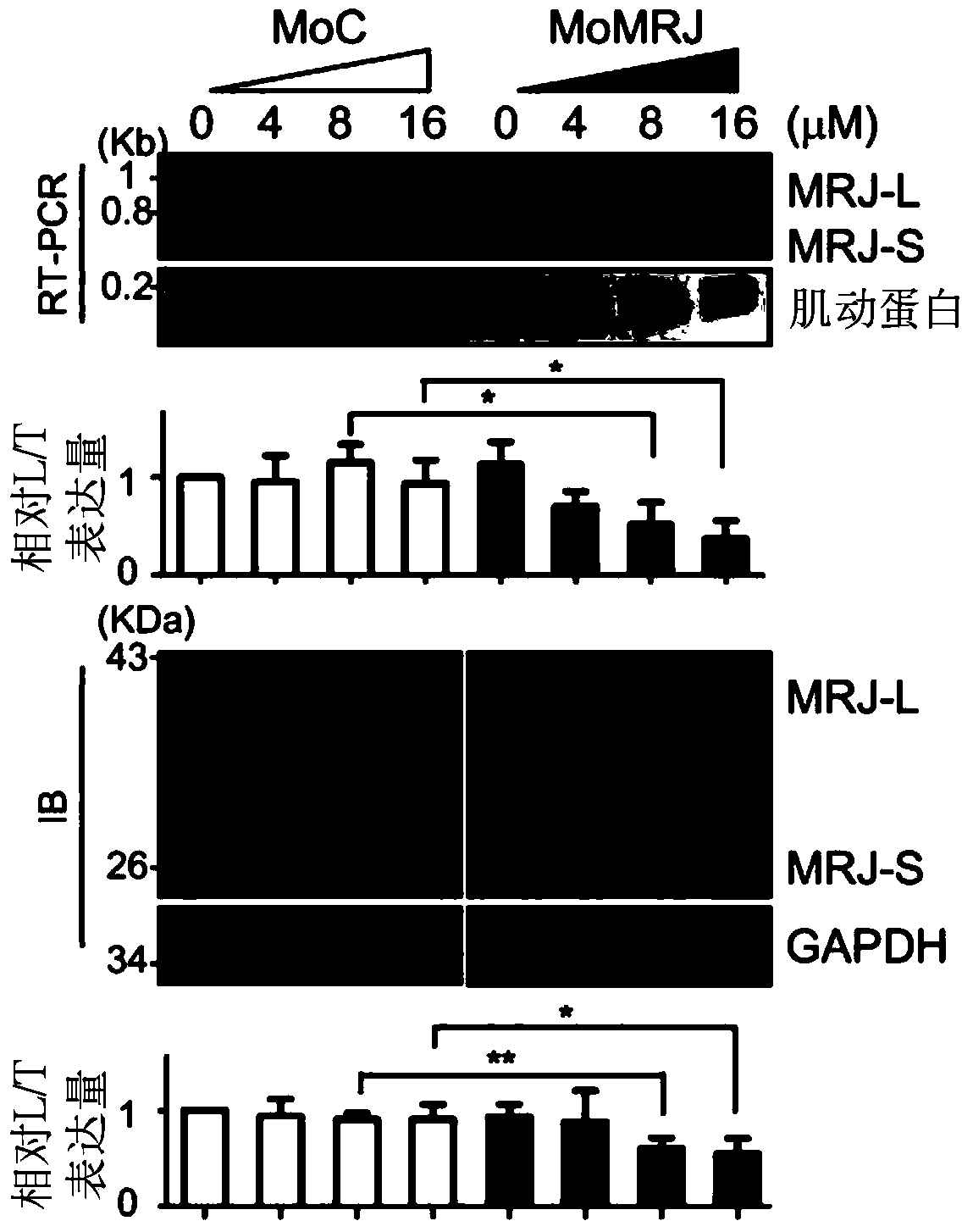 Antiviral agent and method for treating viral infection