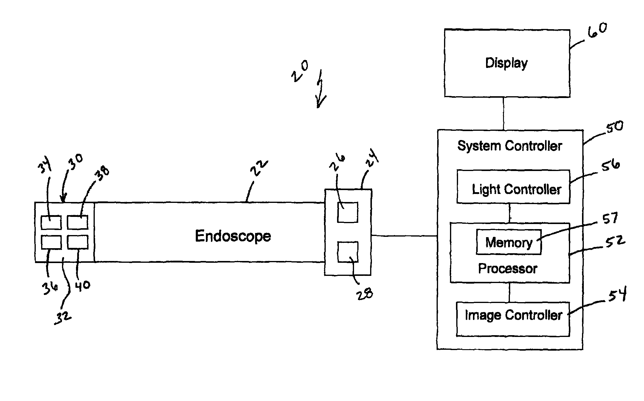 Endoscope with distal tip having encased optical components and display orientation capabilities