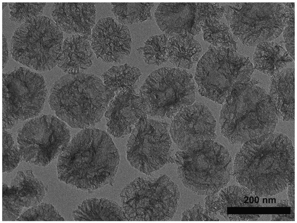 Graded radiation super-macroporous silicon dioxide nanosphere, and preparation method and application thereof