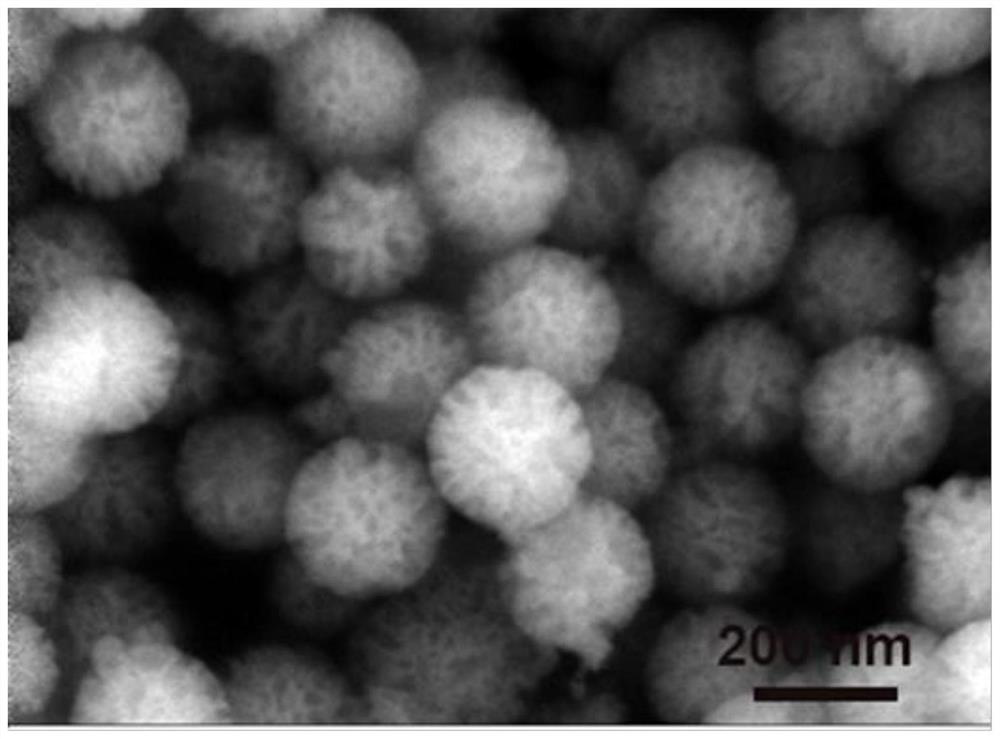 Graded radiation super-macroporous silicon dioxide nanosphere, and preparation method and application thereof