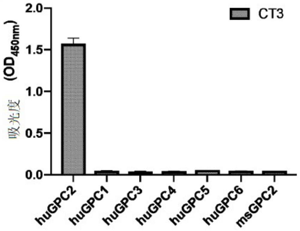 High affinity monoclonal antibodies targeting glypican-2 and uses thereof