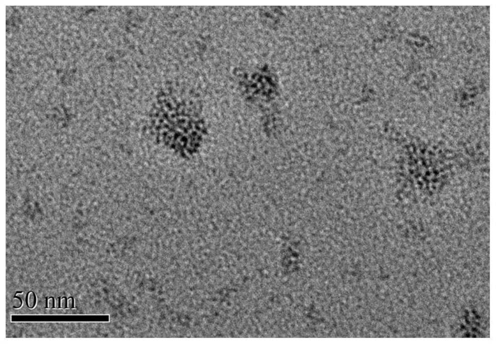 Preparation method and application of aggregation-induced luminescent silver nanoclusters