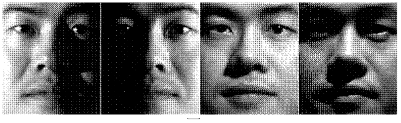 Face recognition method based on dictionary learning models
