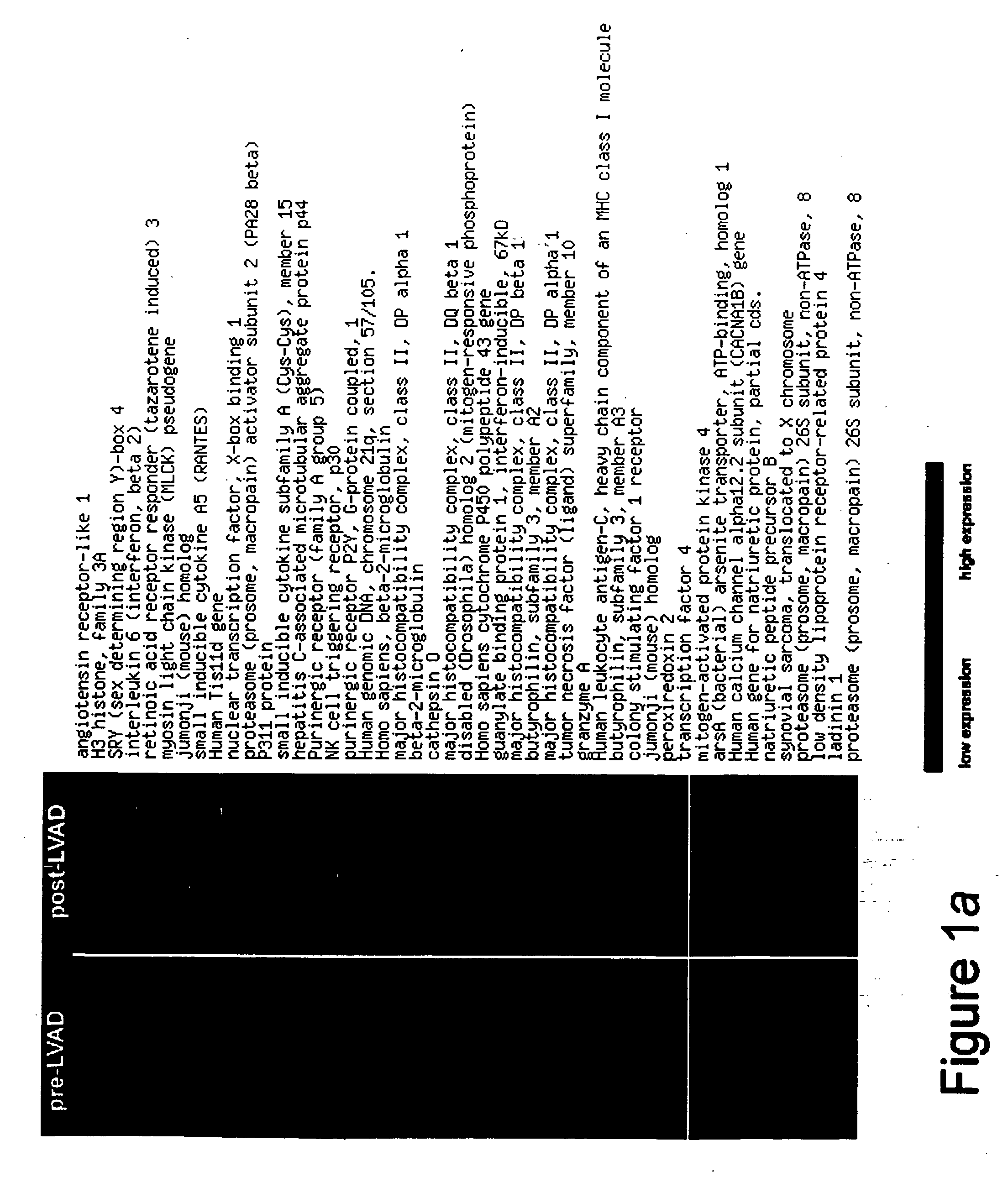 Diagnostic markers and pharmacological targets in heart failure and related reagents and methods of use thereof