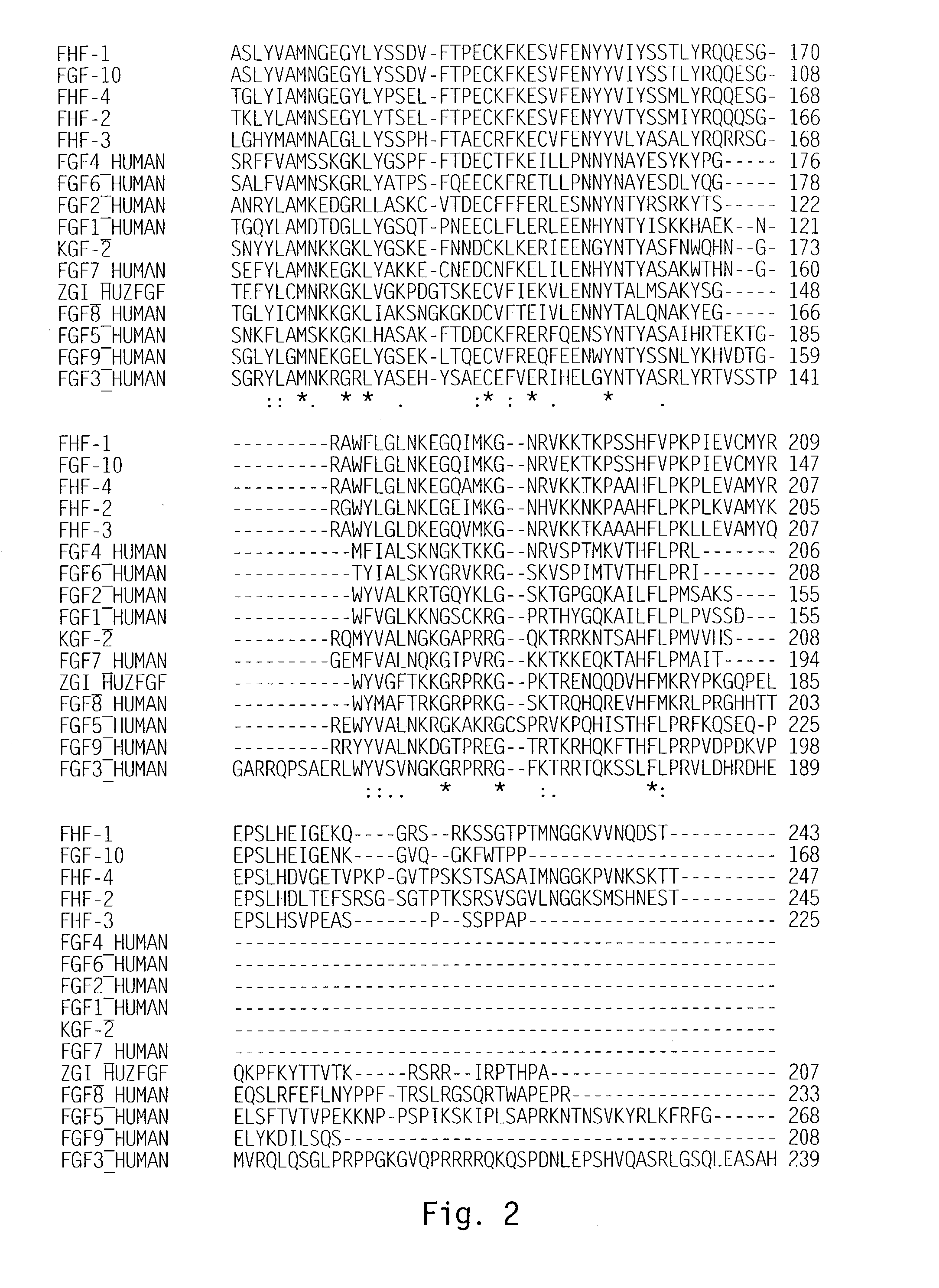 Methods of use of FGF homologs