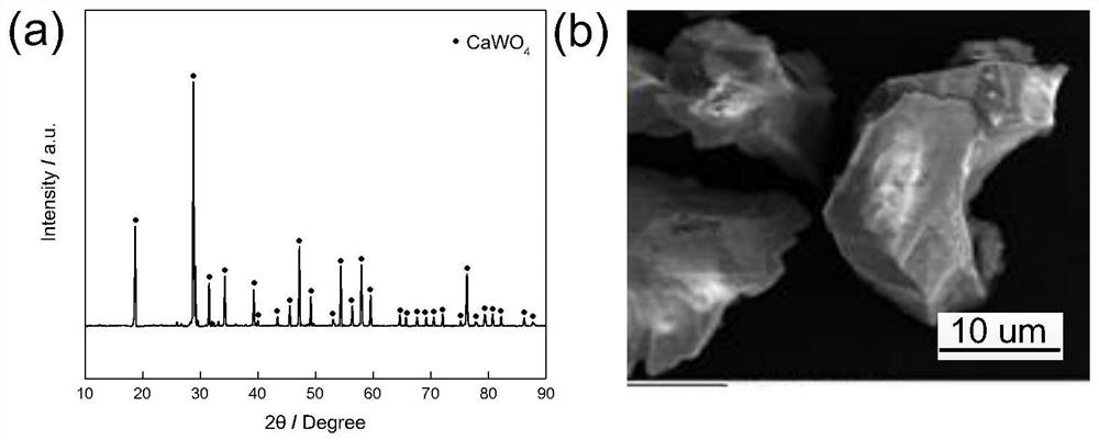 A kind of synthesis of au-doped wo with scheelite concentrate  <sub>3</sub> Methods and applications of nanosheets