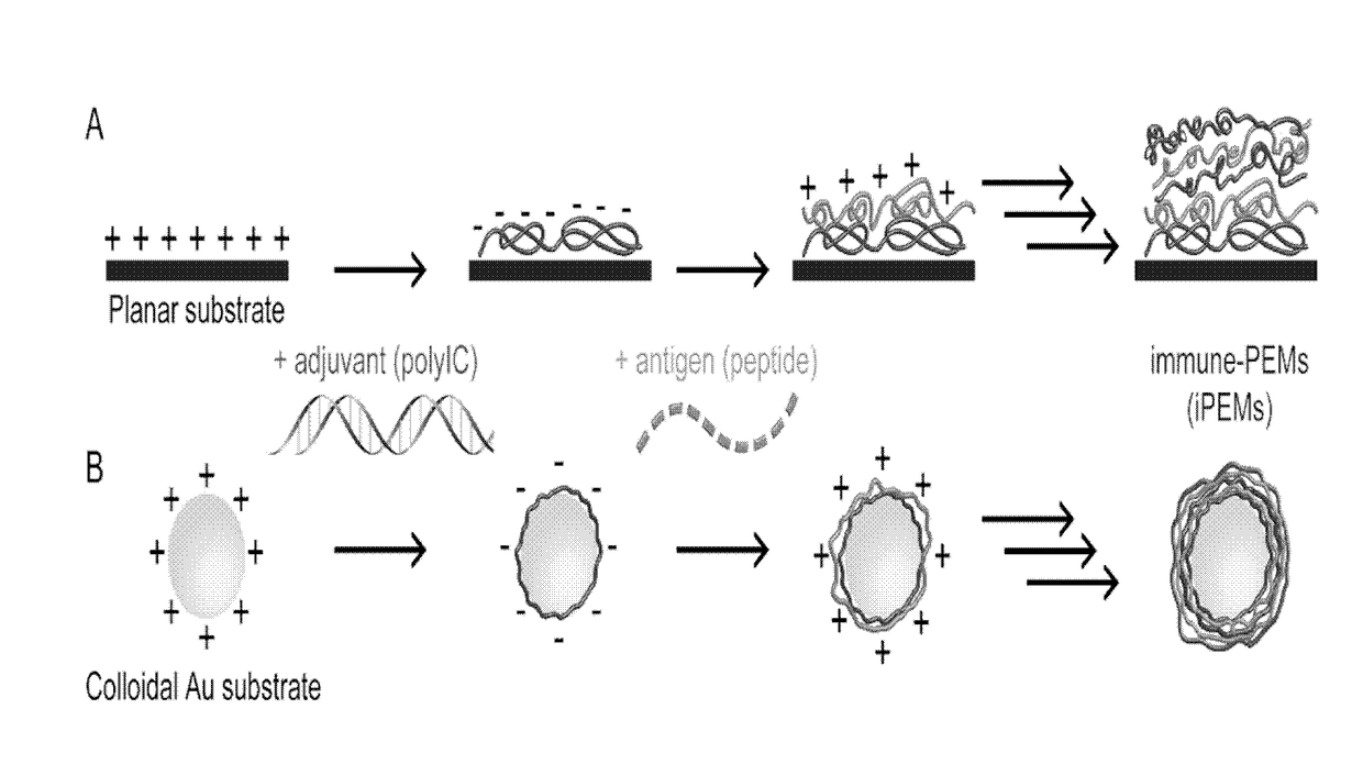 Polyelectrolyte multilayers assembled from immune signal compounds