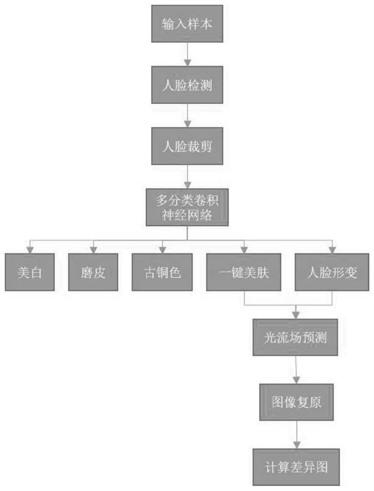 Face image beautification detection method and system based on optical flow estimation