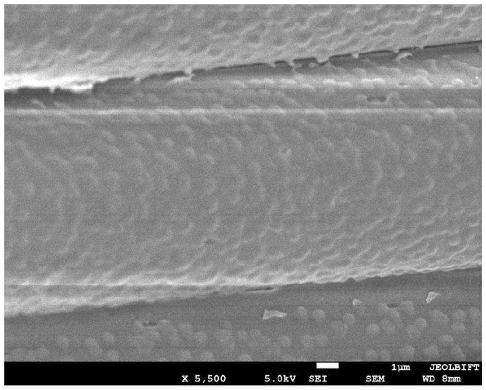 A kind of polyamide composite fiber with intelligent surface and its preparation method and application