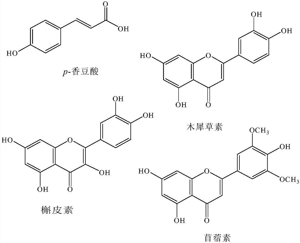 Synergistic anti-tumor polyphenol composition and application