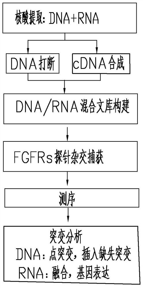 Method and probe sequence for detecting FGFRs gene mutation based on high-throughput sequencing