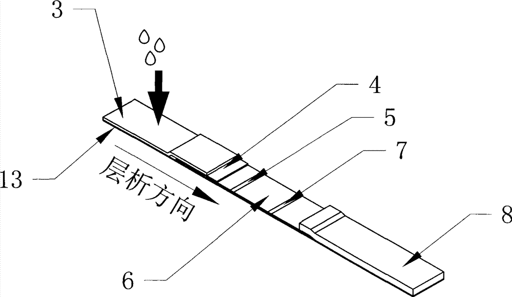 Method and kit for quickly detecting mycobacterium tuberculosis