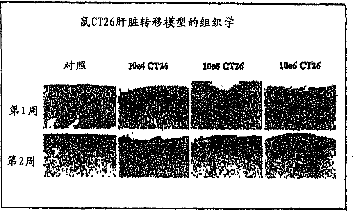 Method and composition for targeting of a systemically generated immune response to a specific organ or tissue