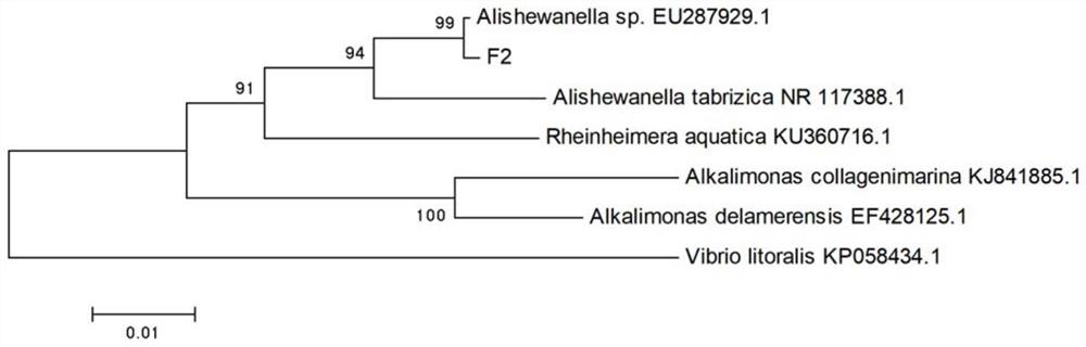 A Salt-tolerant Denitrifying Bacteria and Its Application