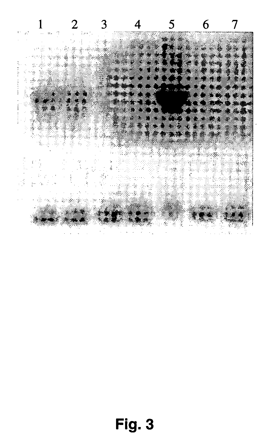 DNA immunocontraceptive vaccines and uses thereof