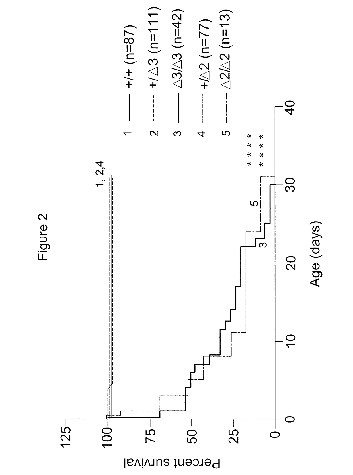 Gene therapy for combined methylmalonic acidemia/aciduria and hyperhomocysteinemia/homocystinuria, cobalamin c type, and deficiency of mmachc