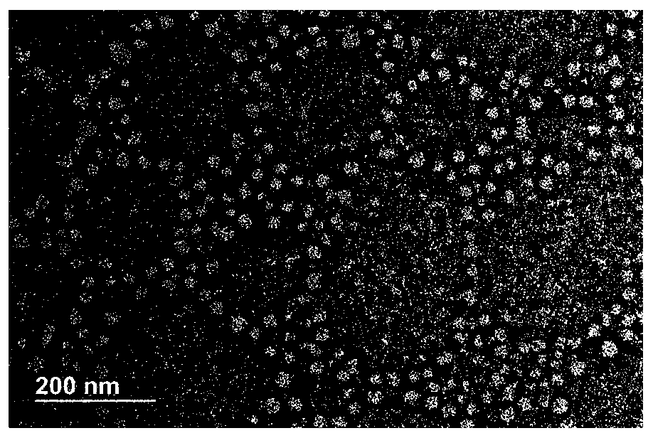 Method for preparing novel polyethylene glycol-poly gamma butyrolactone di-block copolymer nano drug carrying microsphere