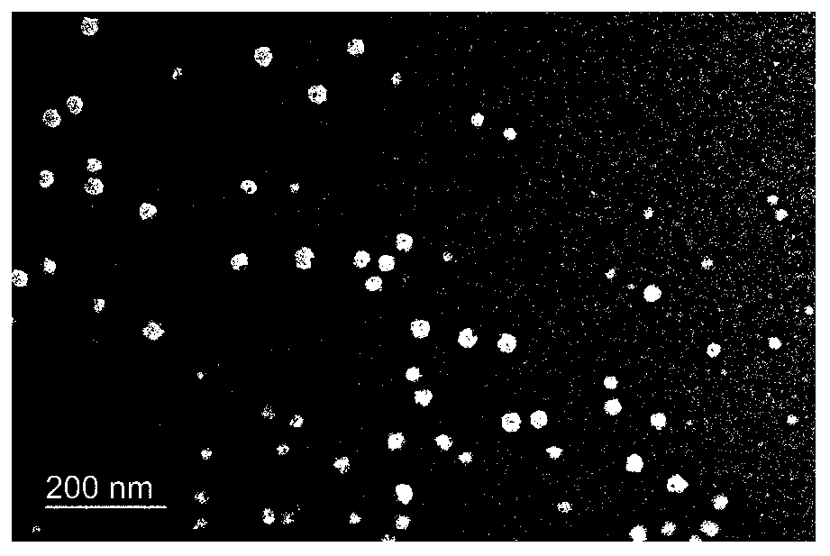 Method for preparing novel polyethylene glycol-poly gamma butyrolactone di-block copolymer nano drug carrying microsphere