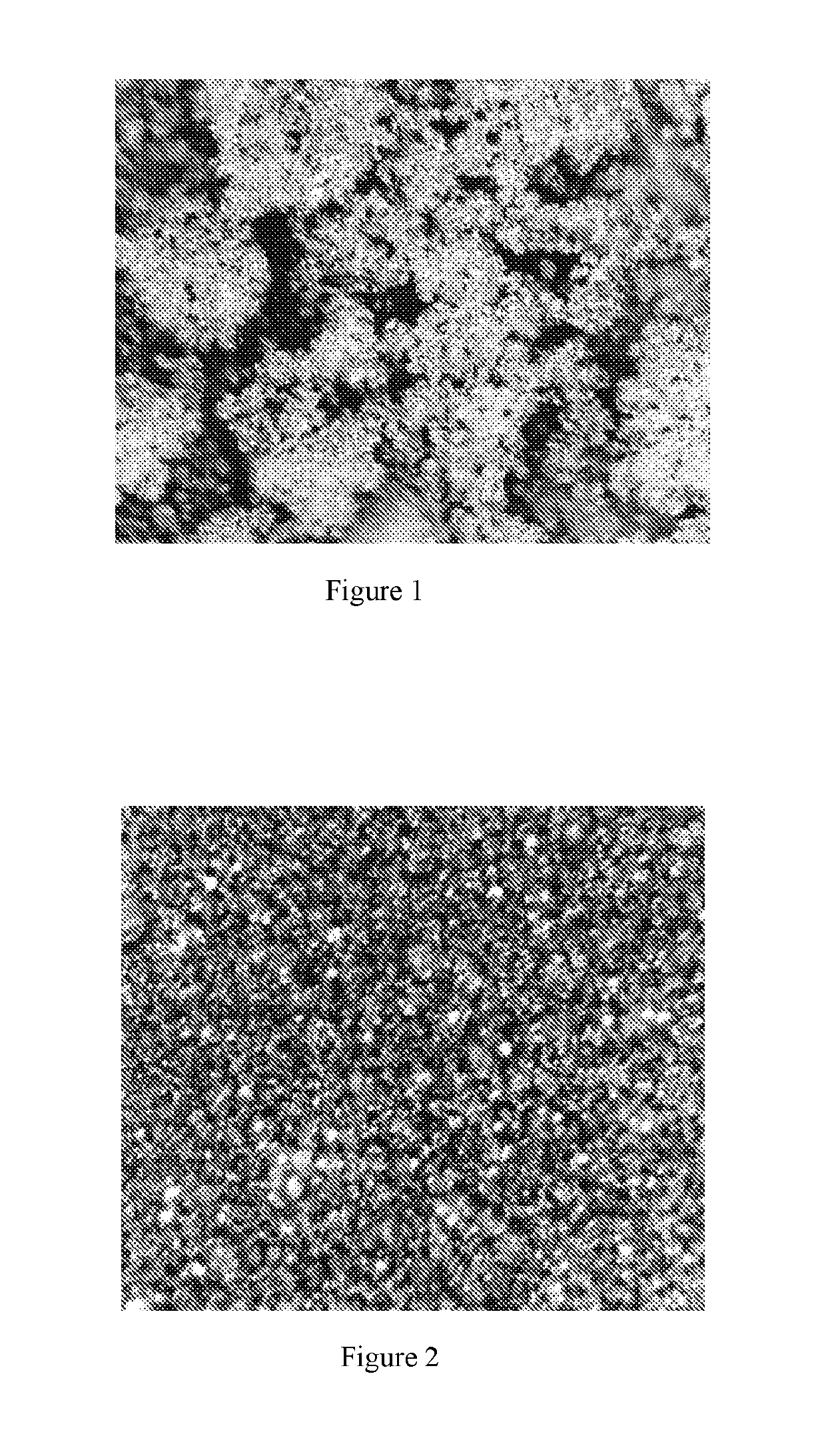 Process for preparing an energy saving anti-burst heat dissipation device