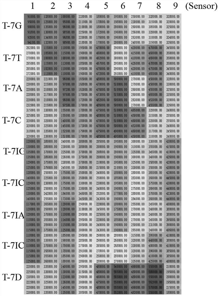 DNA probe and method for detecting dna single base mutation