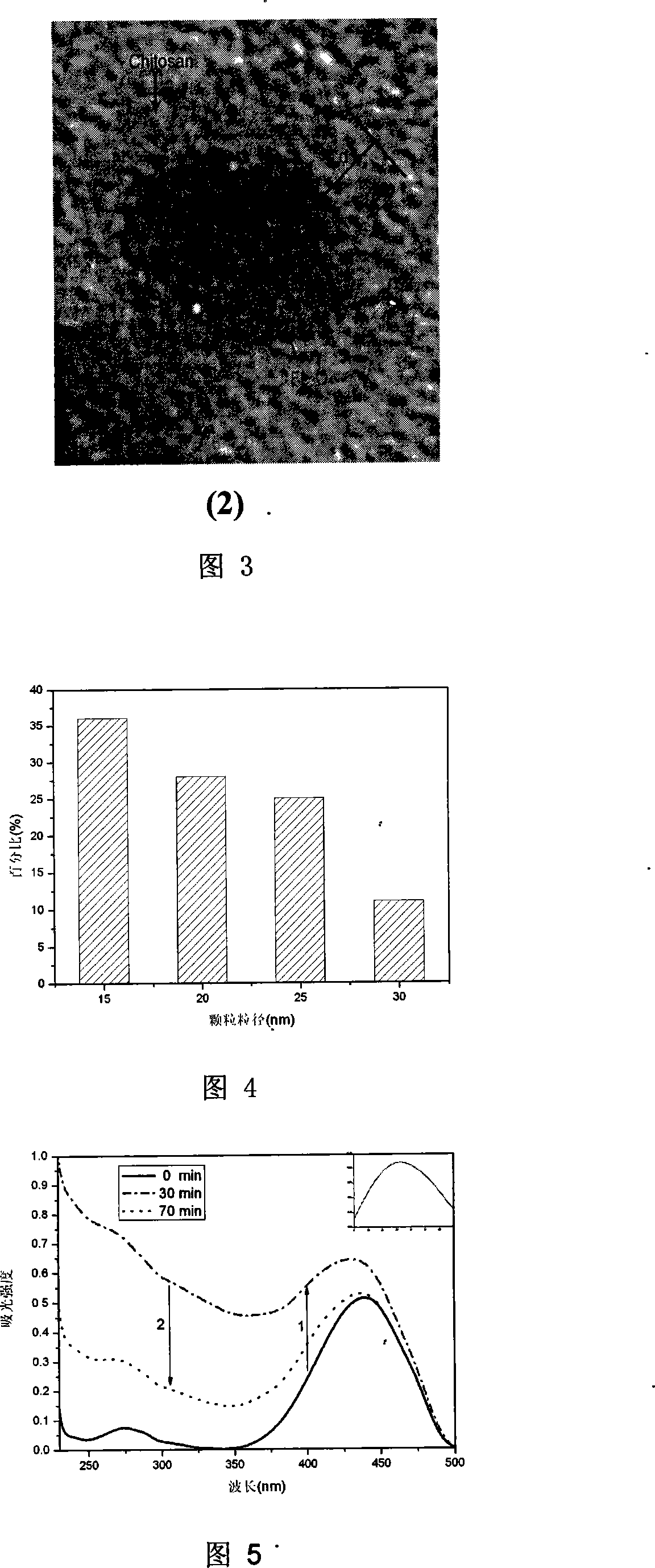 Method of producing nano magnetic chitosan composite particle for photodynamic medicament carrier